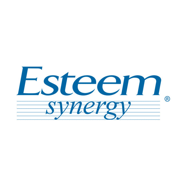 Esteem synergy logo